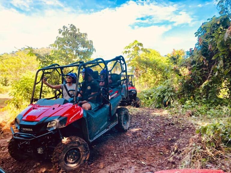 From Punta Cana: Jungle Buggy Adventure to Anamuya River - The Practicalities and Experience Details
