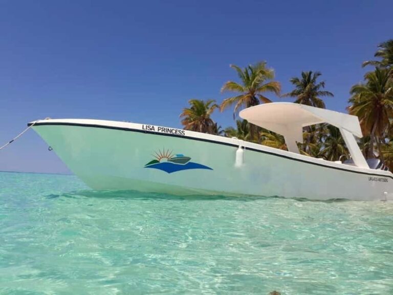 From Punta Cana: Saona and Mano Juan Day Trip by Catamaran - What to Expect and Practical Tips