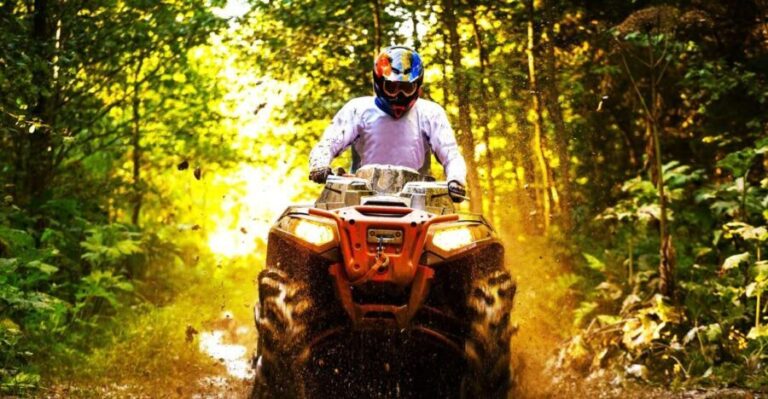 From Runaway Bay: Off Road Vehicle Adventure Tour - What to Expect and Keep in Mind