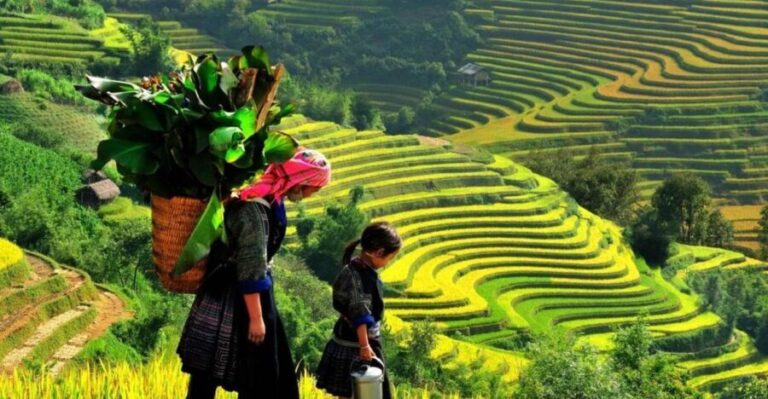From Sapa: Full-Day Trekking Tour Lao Chai & Ta Van Villages - What’s Included and What to Bring