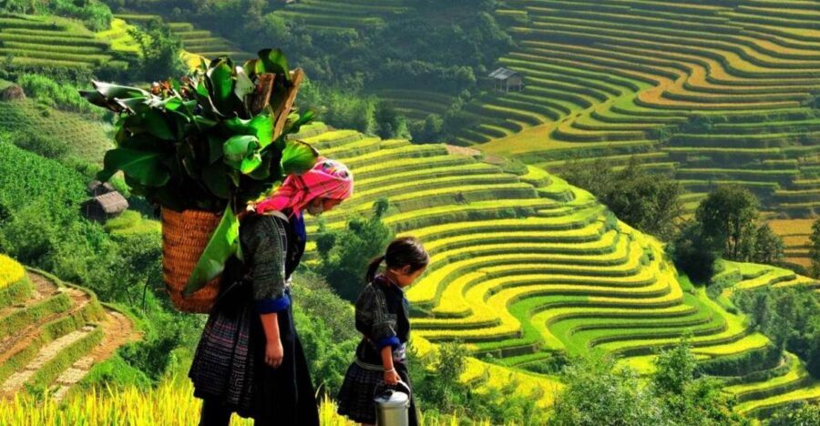 From Sapa: Full-Day Trekking Tour Lao Chai & Ta Van Villages - What’s Included and What to Bring