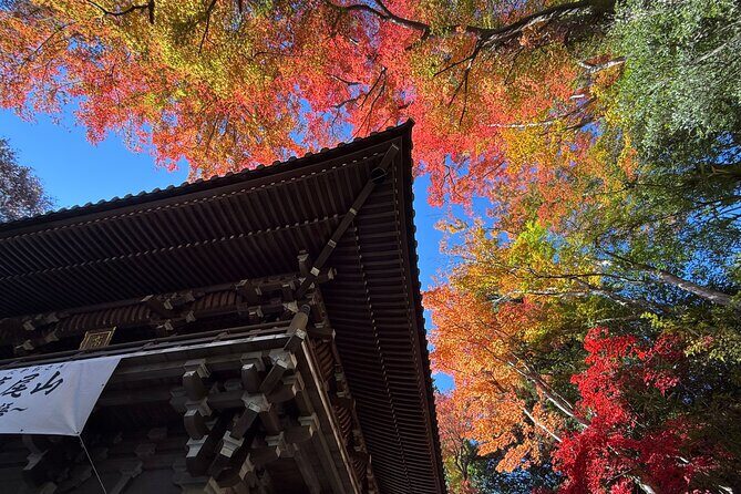 From Shinjuku:Mt.Takao Hike,Temple & Onsen with Samurai Guide Sho - Who Should Consider This Tour?