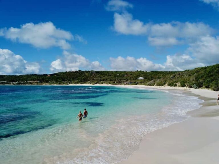 From St John's: Half Moon Bay Beach Half-Day Trip by Van - The Itinerary in Detail