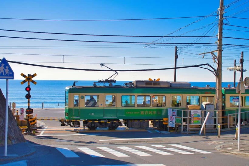From Tokyo: Kamakura, Great Buddha, and Enoshima Bus Tour - Who Would Appreciate This Tour?