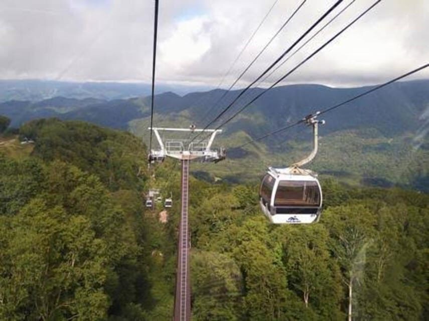 From Tokyo: Nikko luxury Tour with English-speaking Guide - Analyzing the Value