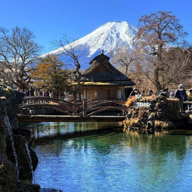 From Tokyo Private Mount Fuji & Hakone Day Trip With Pick Up - The Comfort of Luxury Transportation and Service