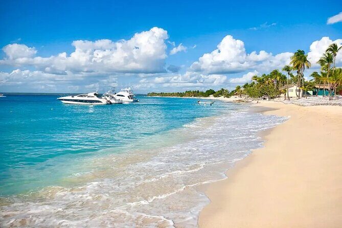 Full-day at Catalina Island from Santo Domingo with optional snorkeling included - Final Thoughts