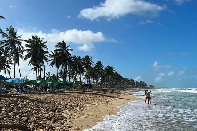 Full Day City Tour of Punta Cana - What’s the Value Like?