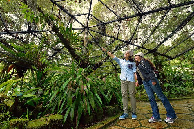 Full-Day Kinabalu Park and Poring Hot Spring Day Trip - Lunch and Transition to Poring Hot Springs