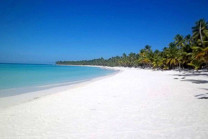 Full-Day Saona Island Tours All Inclusive - The Practical Details