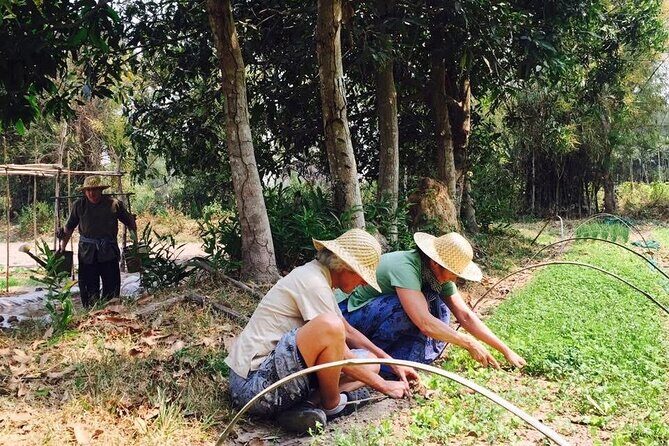Full Day Siem Reap Farm Tour with Cooking Class and Monk Blessing - The Itinerary in Detail