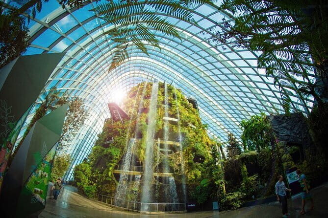 Gardens by the Bay Guided Tour - A Closer Look at the Itinerary