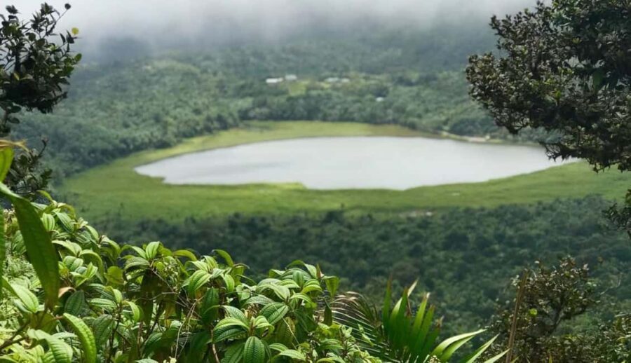 Grenada: Annandale Waterfall, Grand Etang, Grand Anse beach - Why This Tour Offers Good Value