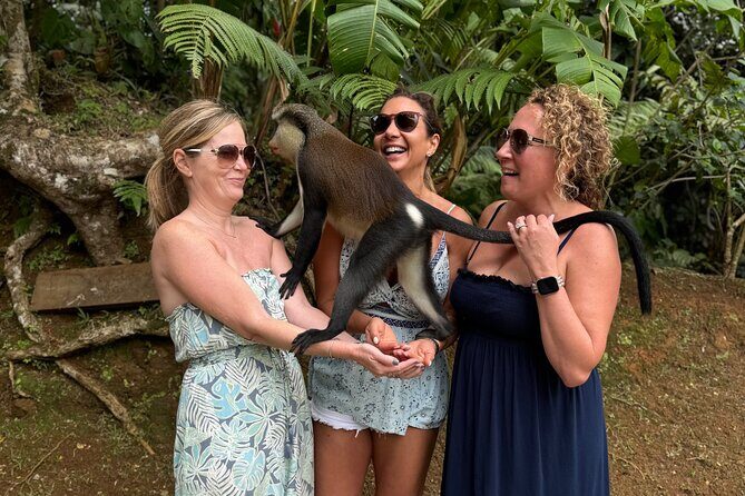 Grenada Nature and Heritage Escape Private Tour with Pickup - The Value of the Experience