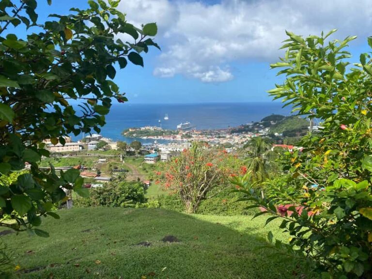 Grenada: Spice and Herb Garden Tour with Beach Visit - A Complete Look at the Grenada Spice & Herb Garden Tour