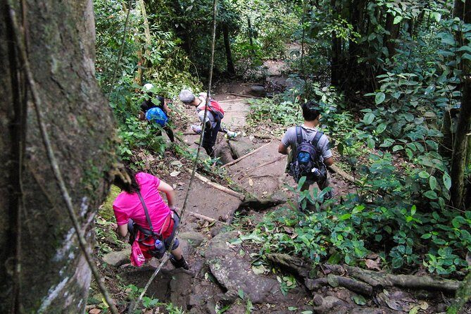 Gros Piton Hiking Adventure - What You Should Know Before You Go