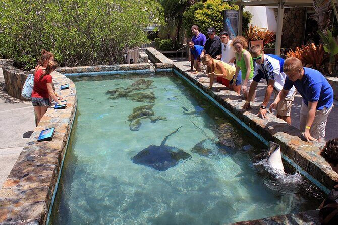 Guided Tour of Coral World Ocean Park & Happy Hour - Reviewing the Practicalities: Cost, Duration, and Value