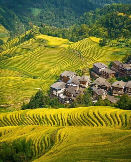 Guilin Longji: Rice Terrace with Oil-Tea Demo & Zhuang Lunch - Who Should Consider This Tour?