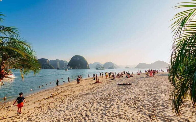 Ha Long Bay Day Trip with Best Price - What Travelers Say