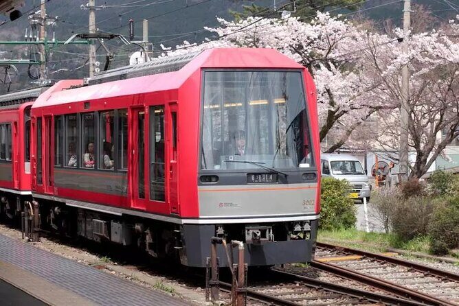 Hakone Free Pass, 2-3 Days Travel Voucher Japan - The Sum Up: Is the Hakone Free Pass Worth It?