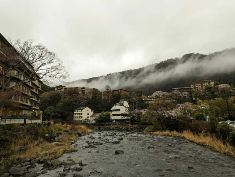 Hakone: Self Guided Trip to Mt. Fuji // Made by Local Guides - What This Tour Does Well: The Practical Advantages