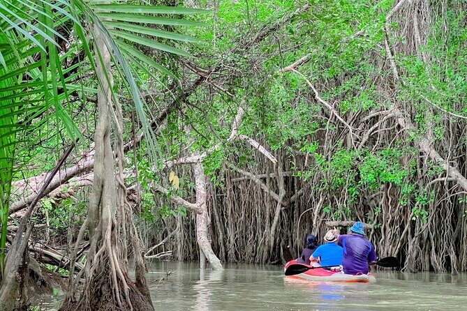 Half Day Canoe Boat Trip At Takuapa Little Amazon - Introduction