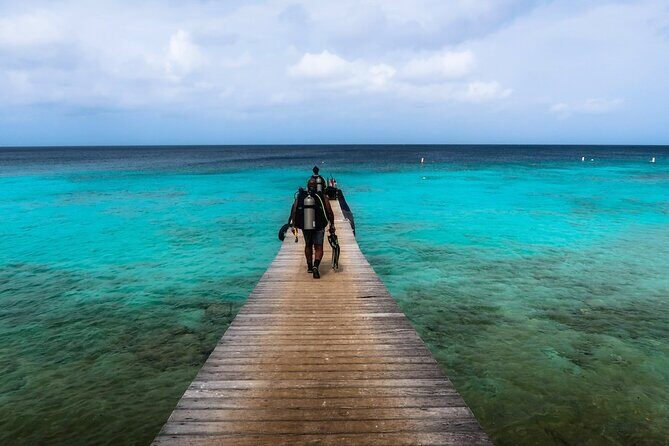 Half Day Diving adventure with Transportation Included - What to Expect During the Activity