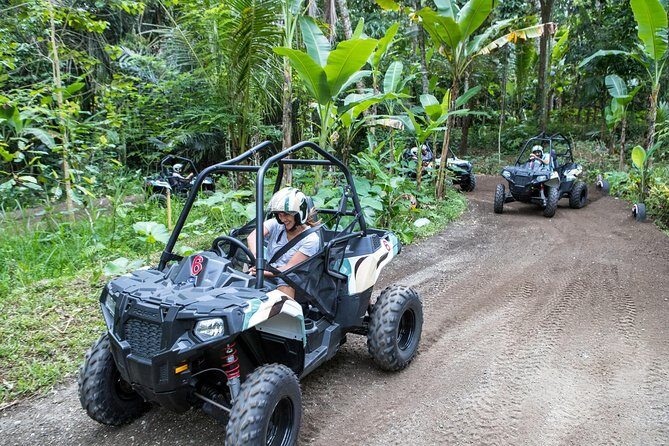 Half Day Jungle Buggies in Bali with Guide - The Morning Routine and Transportation