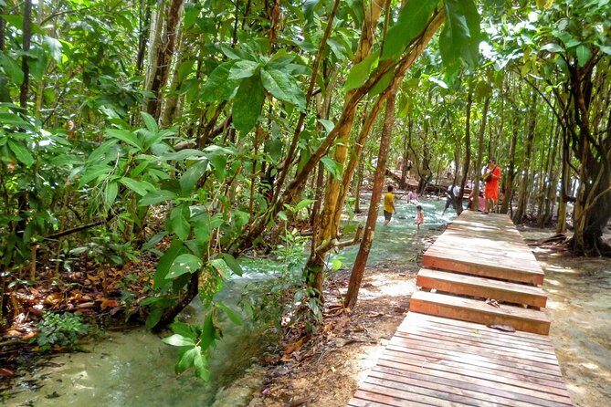 Half-Day Jungle Tour Including Crystal Pool and Krabi Hot Springs - The Experience from Reviews