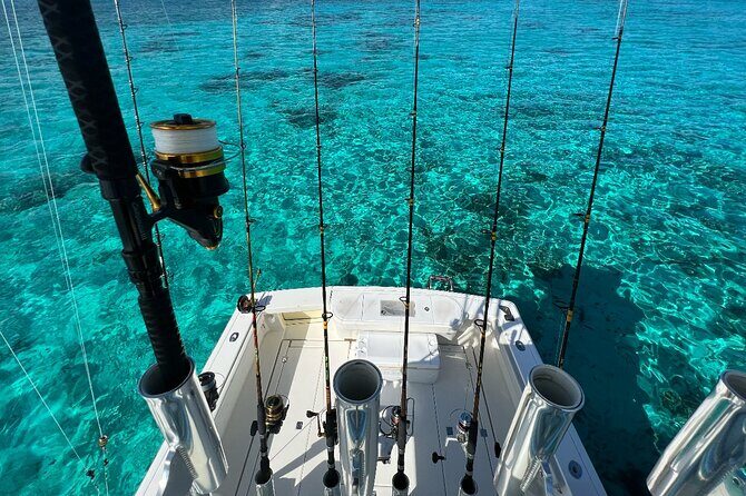 Half Day Luxury Private Fishing Charters in Cayman Islands - The Value of This Experience