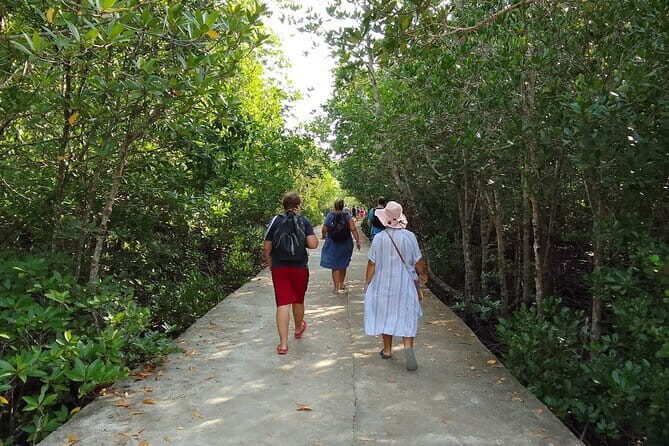 Half Day Mangrove and Lanta Old Town Tour - Visiting Lanta Old Town: A Cultural Interlude