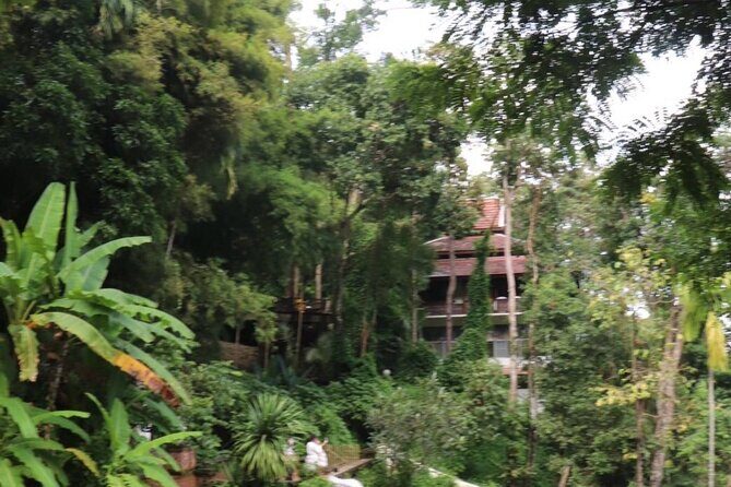 Half Day Morning Wat Pha Lat & Wat Phra That Doi Suthep Tour - Who Is This Tour Best For?