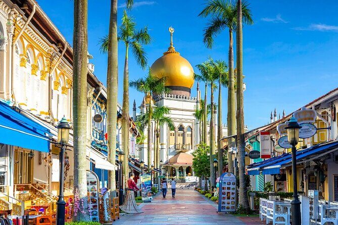 Half Day Private Guided Tour through Singapore's Iconic Landmarks - What Have Past Participants Said?