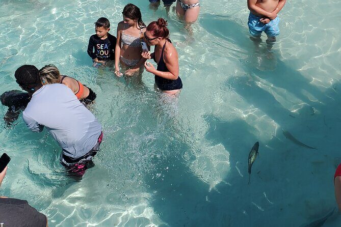 HALF DAY Swiming Pigs and Sharks Tour (Nassau to Exuma by Plane) - Final Thoughts: Is It Worth It?