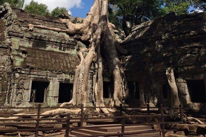Half-Day Ta Prohm and Banteay Kdei Tour - What Do Travelers Say?