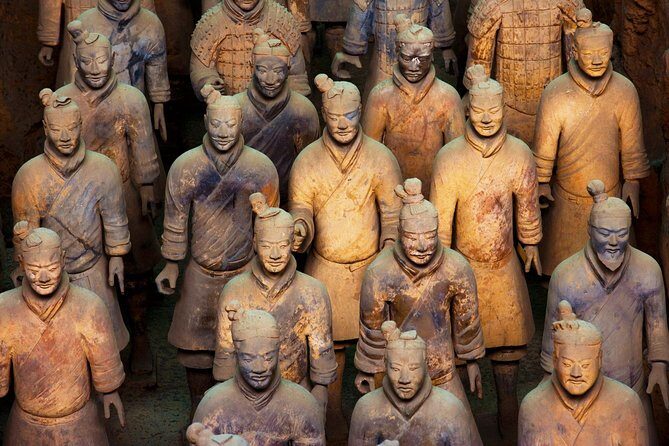 Half Day Xian Private Tour to Terracotta Warriors - What Travelers Love and What Could Be Better