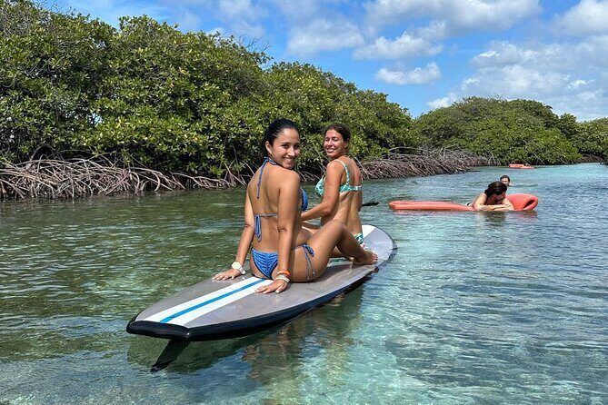 HalfDay Private Snorkel & Mangrove Experience Local Host - A Detailed Look at the Experience