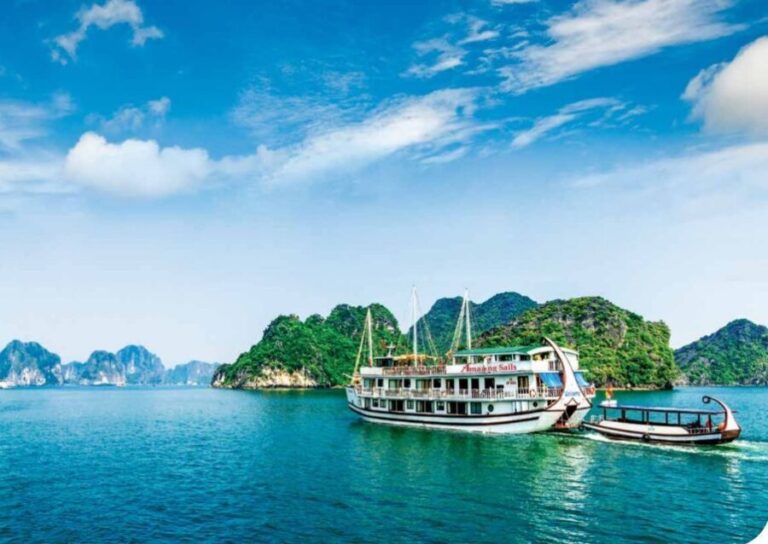 Hanoi Halong Luxury Day Tour with Private Cabin - Who Will Love This Tour?