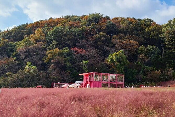 Herb Island and Sanjung Lake and Bidulginang Water Falls - Bidulginang Waterfalls: A Natural Escape with a Hollywood Touch