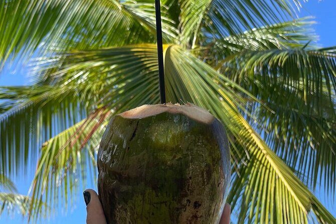 Hidden Fresh Spring of Water+ Cave+ Beach & Food Full Day Tour - The Itinerary in Detail