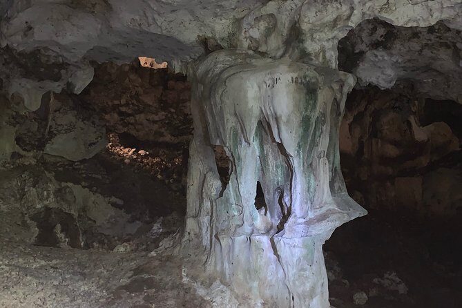Hidden Gems of the North, Puerto Rico Private Tour - The Practicalities: Transportation, Guides, and Experience