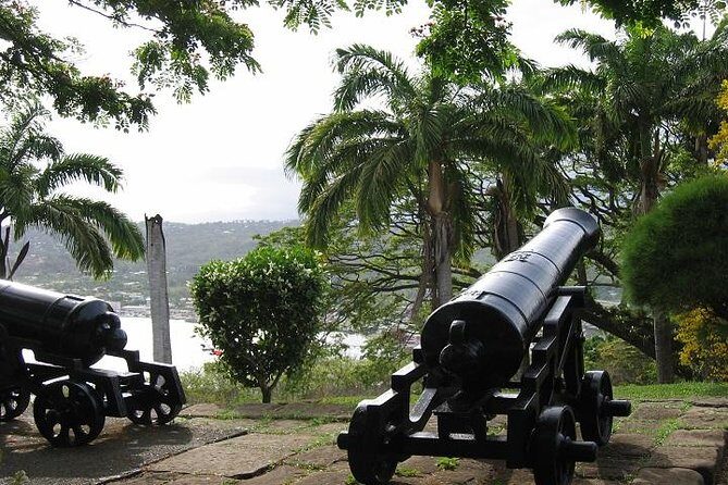 Highlights of Tobago Tour - The Tour Itself: What You Can Expect