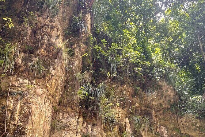 Hiking the 27 Waterfalls of Damajagua Tour from Santo Domingo - The Itinerary Breakdown: What to Expect