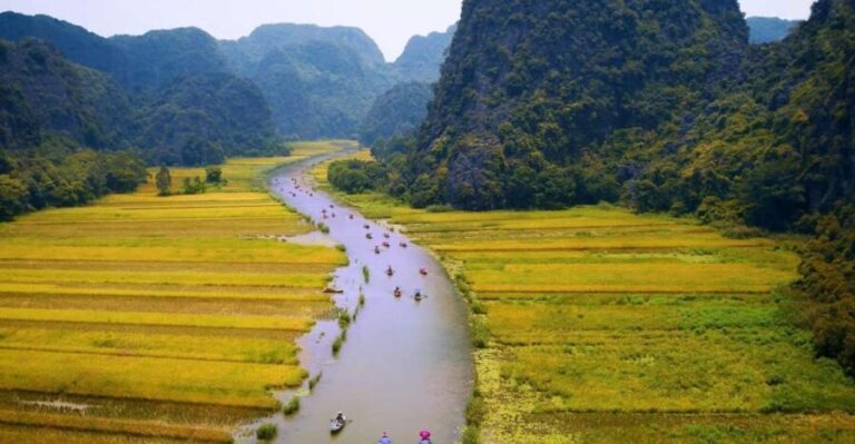 Hoa Lu and Tam Coc 1-Day Tour - What Makes This Tour Stand Out?