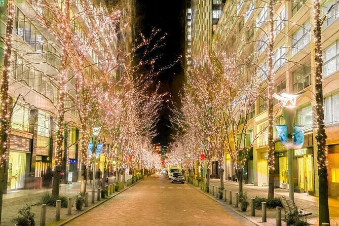 Holiday Lights Walk Tour Hibiya Midtown Tokyo Station Marunouchi - Who Will Love This Tour?