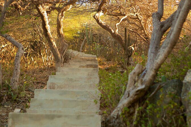 Hooiberg Hill Hike (Sunrise, Sunset, Night) - Value and Overall Impression