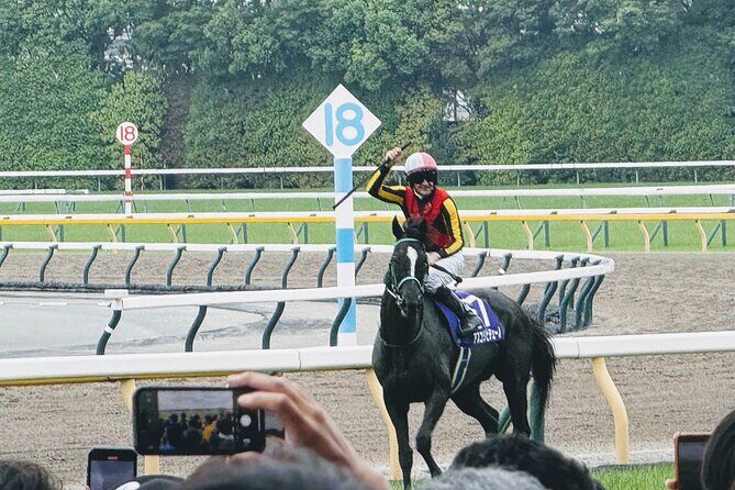 Horse Racing Tour with Local Fans in Tokyo - Who Is This Tour Best For?
