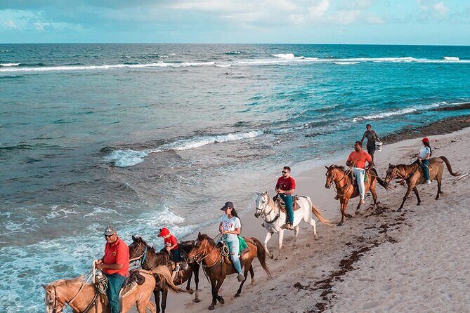 Horseback Riding Adventure to Macao Alto Beaches in Punta Cana - Who Is This Tour Best For?