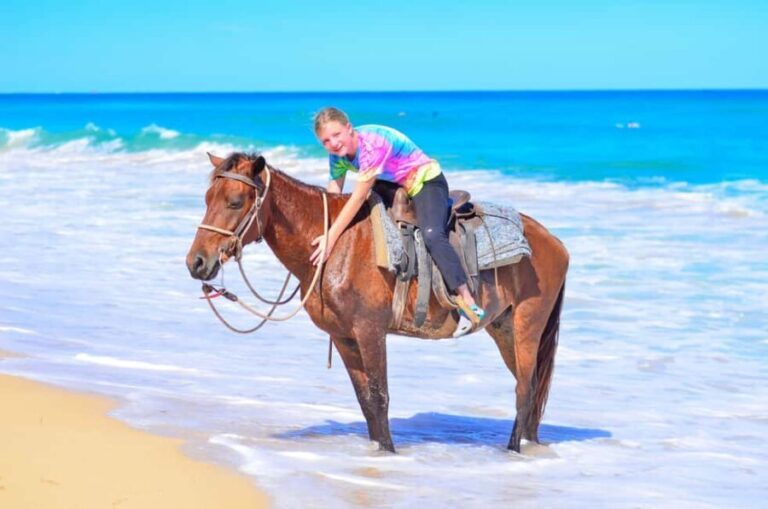 Horseback Riding at Macao Beach and River with Transfers - The Highlights and Unique Points