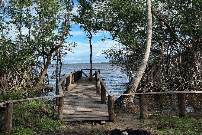 Horseback Riding - Experience between virgin beach and lagoon - Who Will Love This Tour?